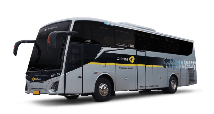 Bus Blue Bird